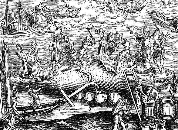 20120521-630px-Whale_Fishing_Fac_simile_of_a_Woodcut_ 1574.png